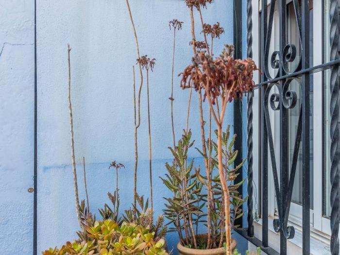 Apartamento Susillo Vacacional Sevilla Zewnętrze zdjęcie